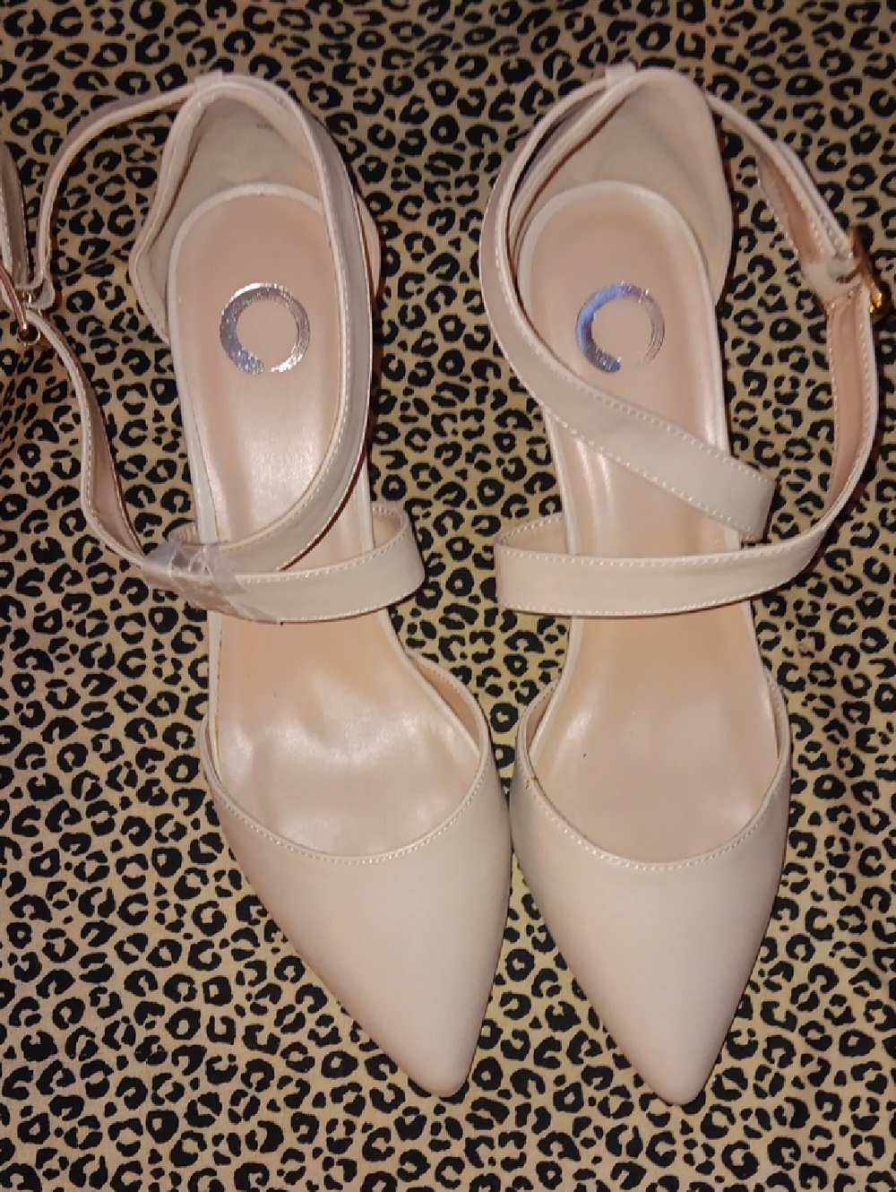 Pointed Toe Ankle Strap Heels in Nude